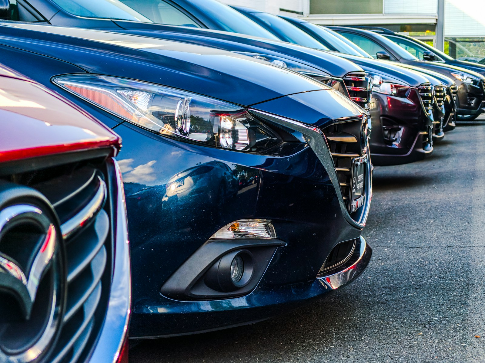 Car bumpers lined up in a parking lot – Understanding auto insurance coverage for rental cars when your vehicle breaks down.